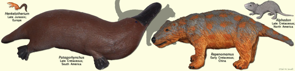 Mesozoic mammals