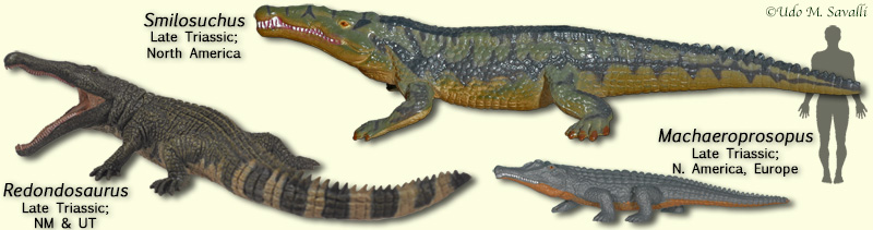 Phytosaurs