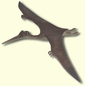 Pterodactylus Model