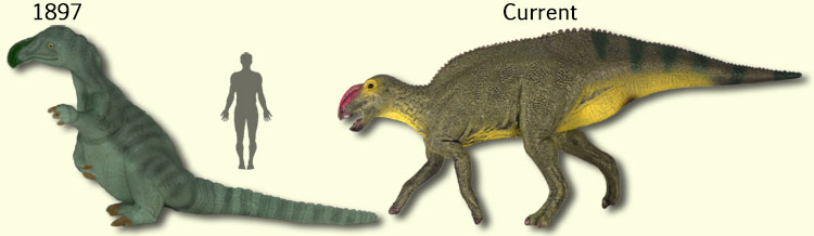 changes in Hadrosaurus