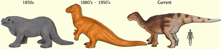 changes in Iguanodon