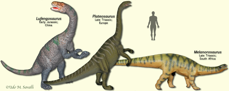 Prosauropods