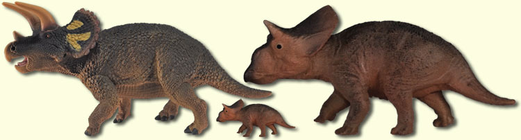 juv & adult Triceratops