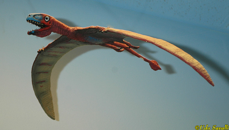 Batrachognathus Model