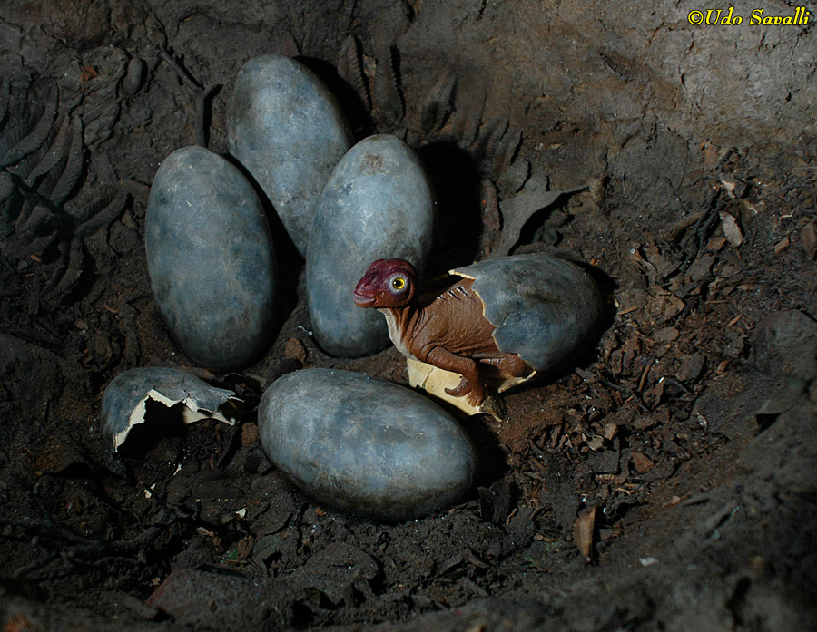 Hadrosaur Nest Model