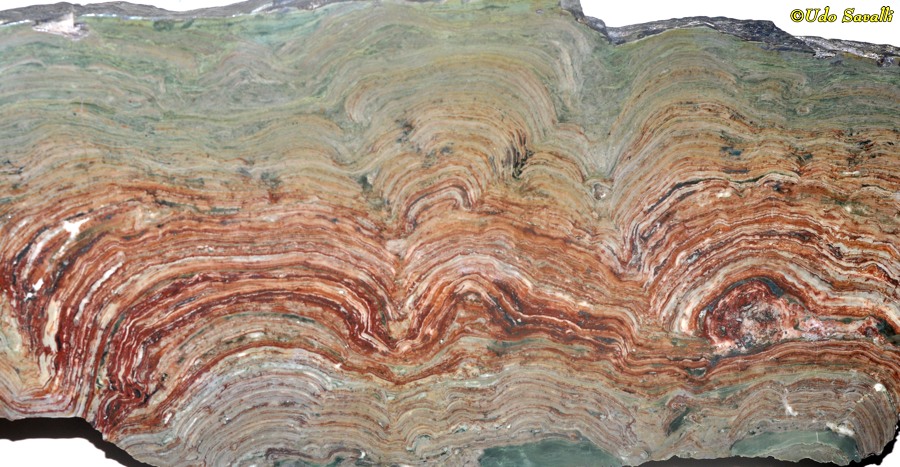 stromatolite